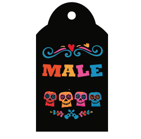 Tarjetas largas con cinta Coco 20u Pers